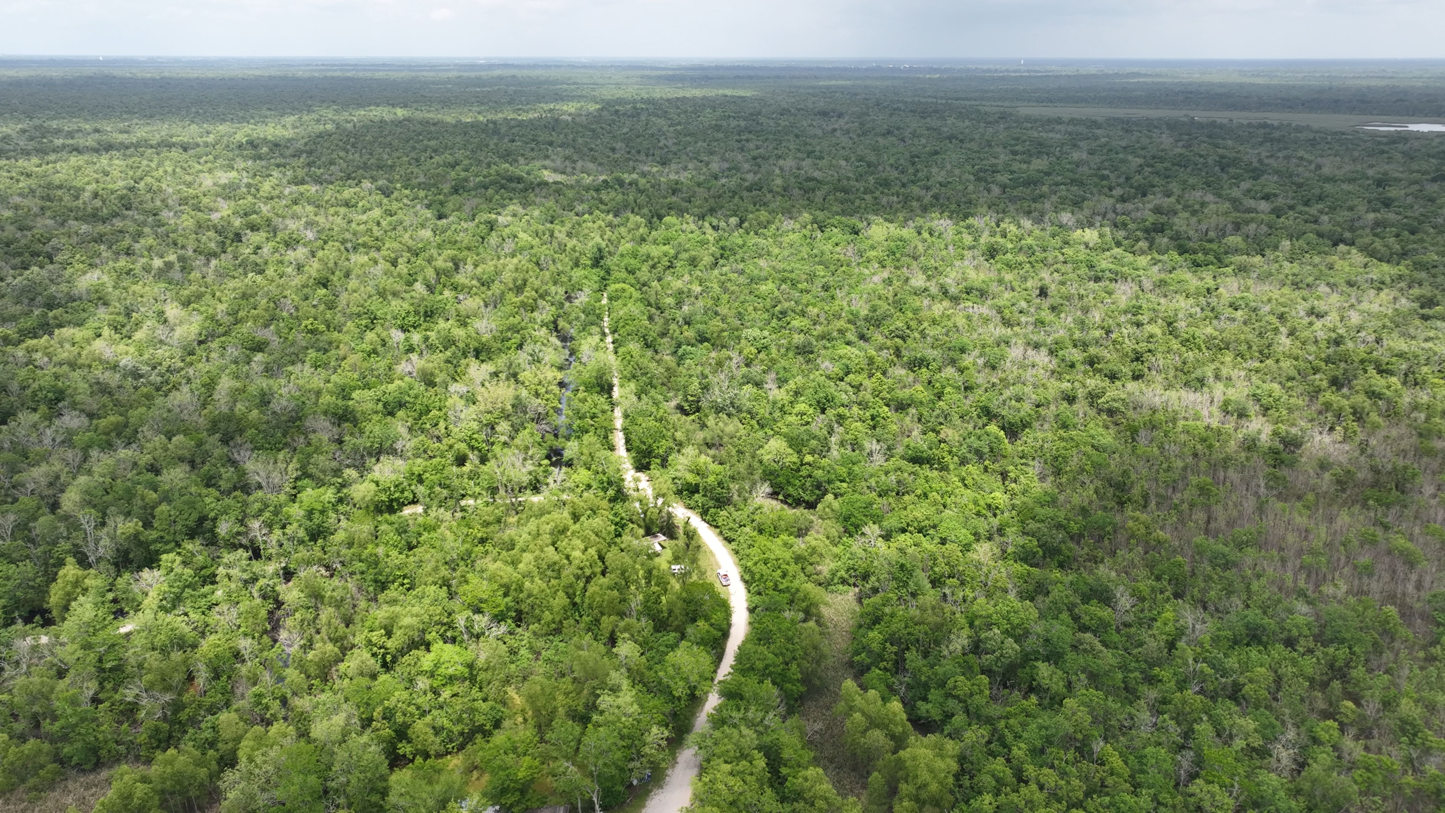 Listing Photo: South Louisiana Recreational Hunting Land
